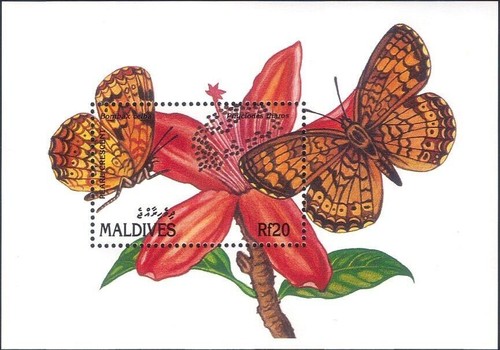 Maldive 1991
