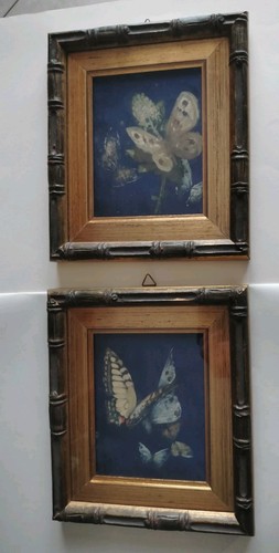 Coppia quadri farfalle - quadri,