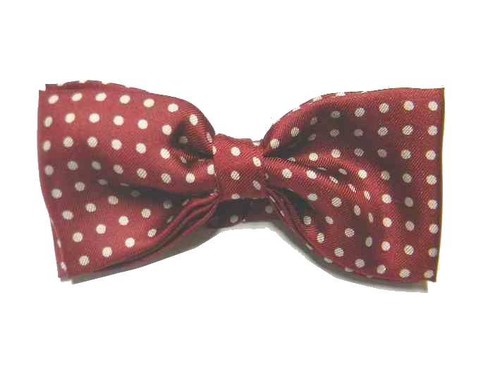 Papillon seta bordeaux pois - papillon,
