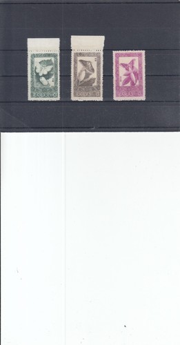 Asia vecchio lotto