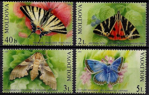 Moldova 2003 farfalle insetti - 2003,