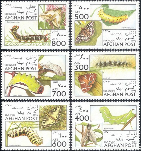 Afghanistan 1996 set vermi - set,